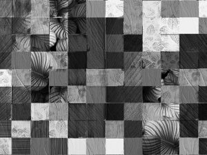 squares-WDR_143